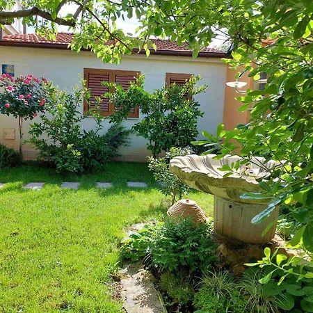 Adriatic Apartments Nada Fažana エクステリア 写真
